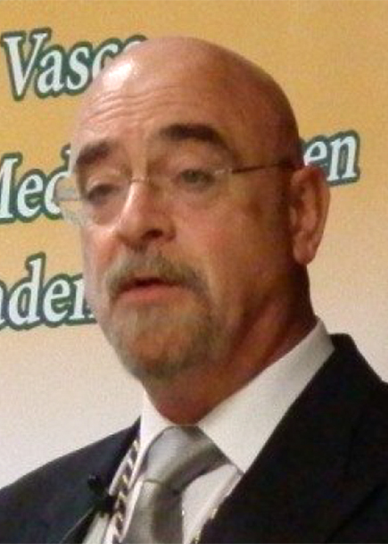 Prof. Dr. D. Luis Casis Saenz
